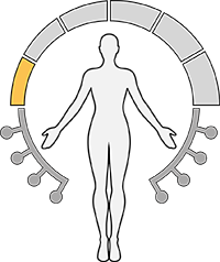 How It Works iconx level 1sml